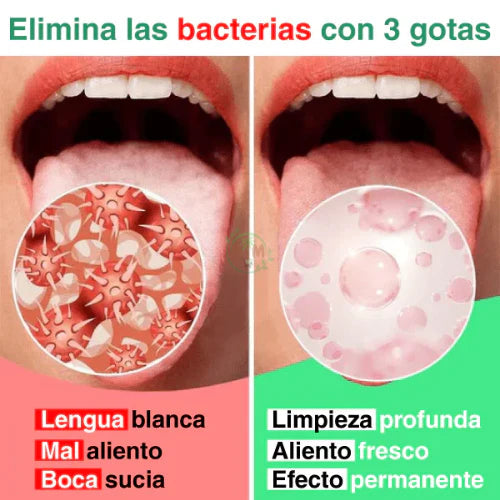 Encabezado